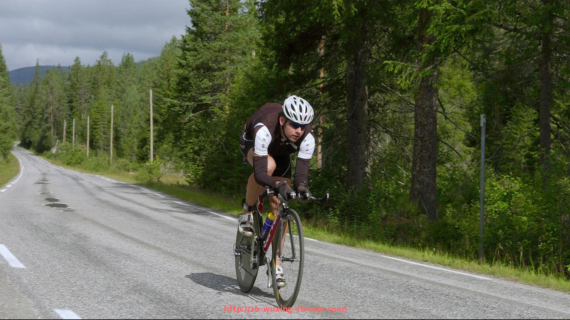 五星体育直播-世俱杯赛事视频解说内容精编与多语种版本分析
